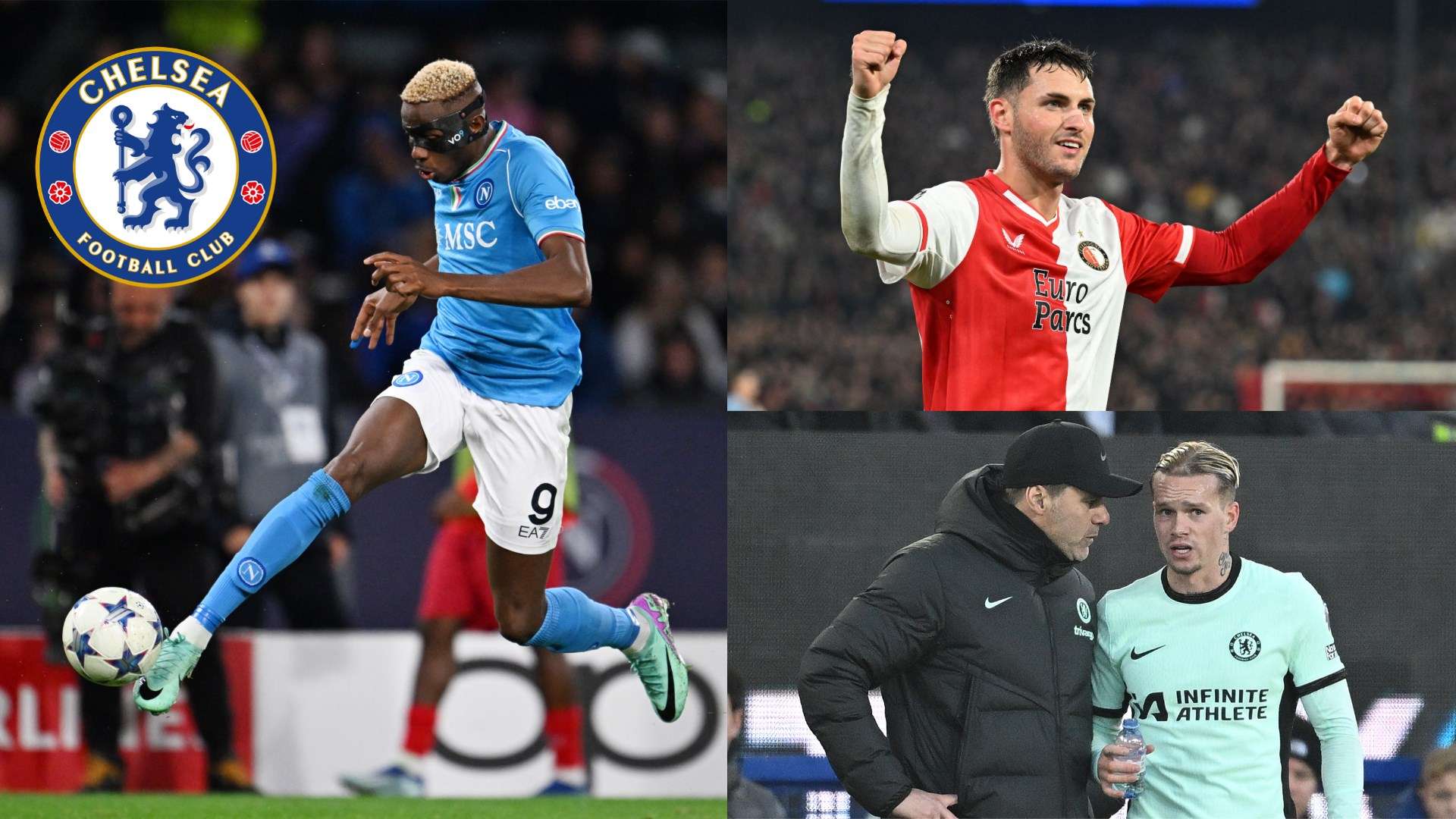 无疑会为红 无疑会为红